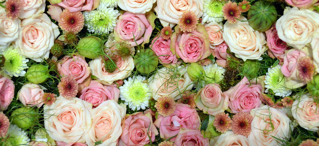 Blumen