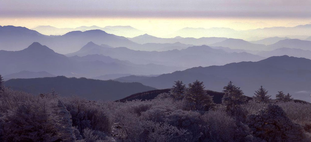 KOREA - NATURJUWEL